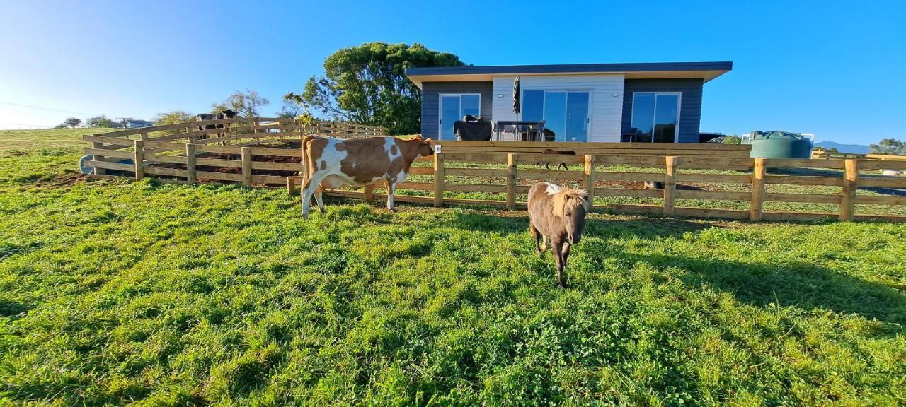 Country Comfort - Only 10 Minutes From Hamilton Cbd المظهر الخارجي الصورة