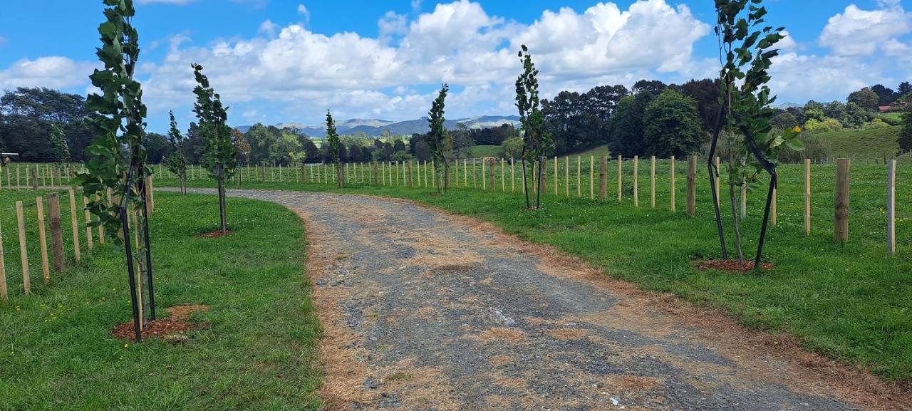 Country Comfort - Only 10 Minutes From Hamilton Cbd المظهر الخارجي الصورة