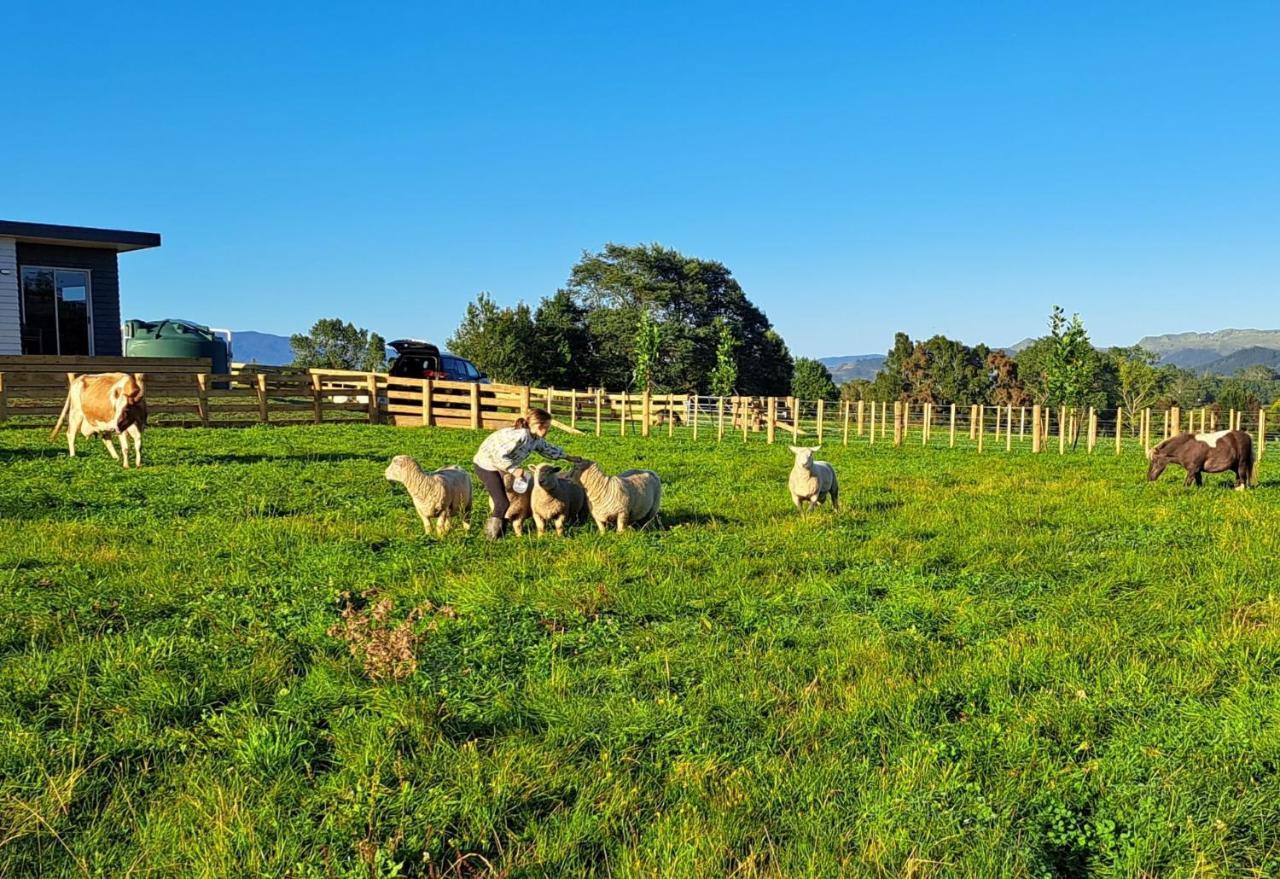 Country Comfort - Only 10 Minutes From Hamilton Cbd المظهر الخارجي الصورة