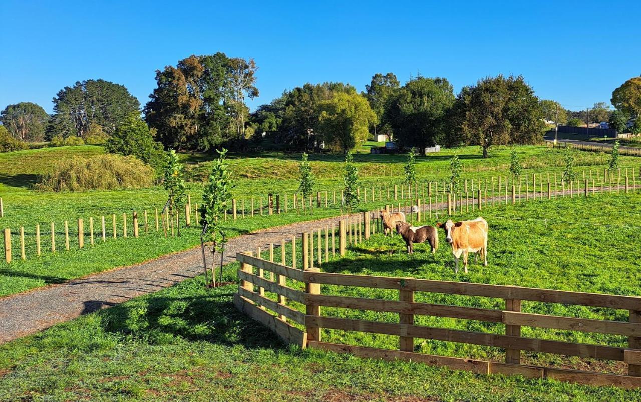 Country Comfort - Only 10 Minutes From Hamilton Cbd المظهر الخارجي الصورة